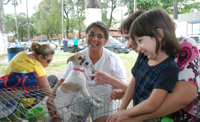 Feira de adoção