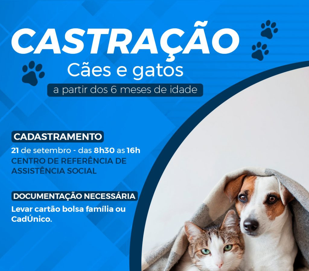 Castração de animais
